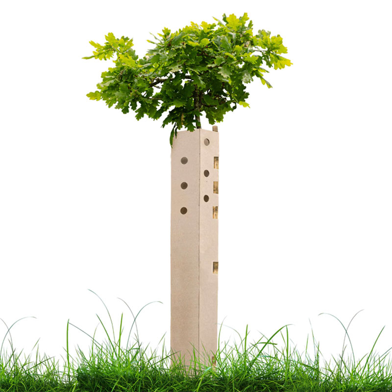 WhiptecBio biodegradable tree guard